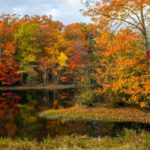 48408496-colorful-autumn-reflections-on-this-pond-in-allaire-state-park-in-new-jersey