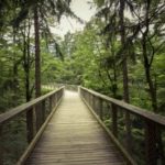 walkway