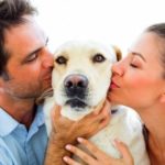 5.16.15-10-Things-You-Should-Know-About-Dating-a-Dog-Lover1-590×393