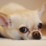 pexels-photo-191353