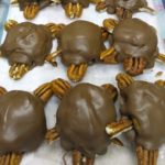 turtles