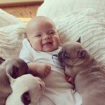 Baby-and-Puppies-634×635