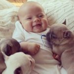 Baby-and-Puppies-634×635222