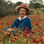 LadyBird