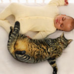 getty_rm_photo_of_baby_sleeping_with_cat