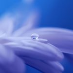 drop-of-water-571956_640