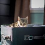 travel-2335026_640