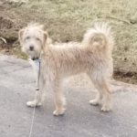 Quincy 3rd pic 4.18