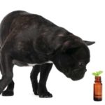 ThinkstockPhotos-471479543