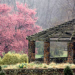 deep_cut_pergola_original