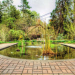 koi-pond-in-deep-cut-gardens-middletown-nj-geraldine-scull