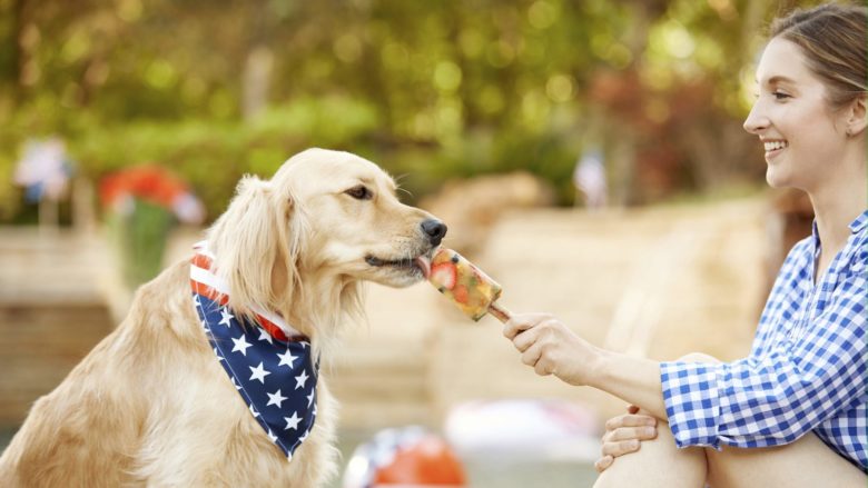 DIY-Frozen-‘Pupsicle’-Treat-for-Dogs
