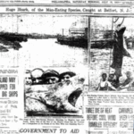 300px-PhiladelphiaInquirerJuly151916