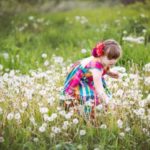child-picking-dandelions-in-field_925x