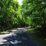 path
