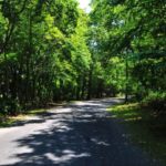 path2