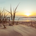 beach-golden-hour-grass-1192671
