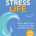 Less Stress Life Cover Final