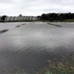 unnamed (1)