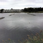 unnamed (1)