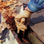 YardCleanUpContent_b