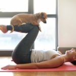 yoga-with-dogs-knees-to-chest-pose