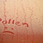 Pollen Text & Frown On Car Hood
