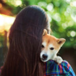 emotional-support-dog-letter