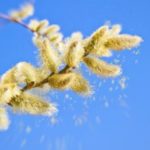 shutterstock_401177983-730×430