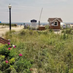 bradley-beach-maritime-forest-2_orig