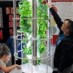cst {seqn } Tower Gardens