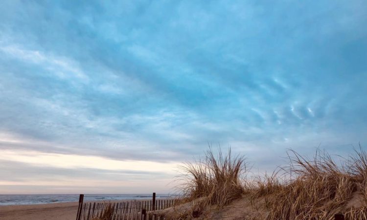 beach-