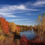 MR Wetland Oct 28