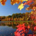 fall_scenic_res