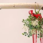 Mistletoe