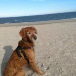 Carly at the ocean