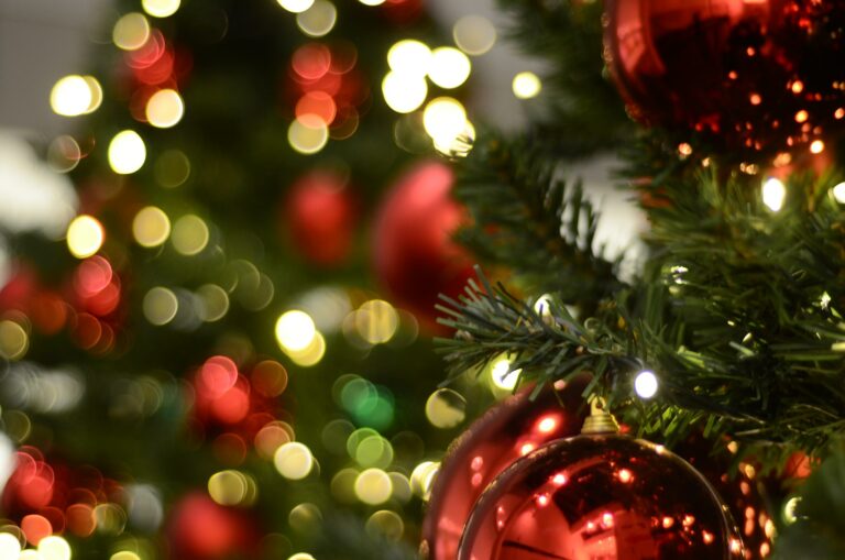 Jersey Shore Arts Center Holiday Concert 2021
