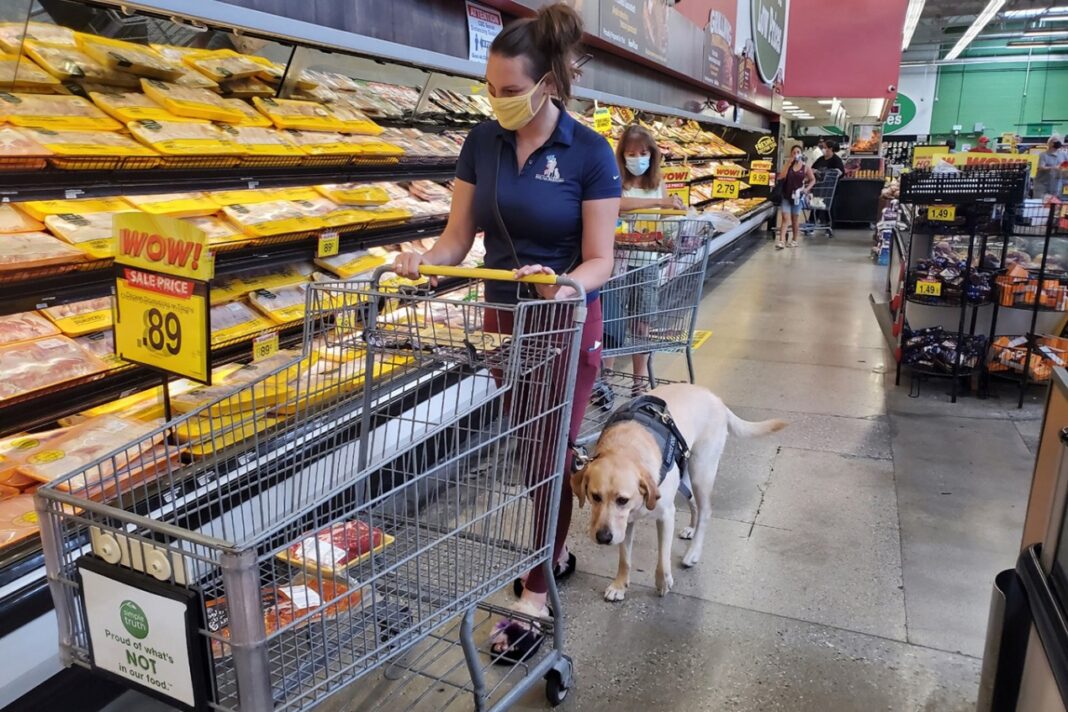 service dogs PTSD