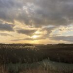 IMG_9845