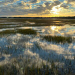 chincoteague-marsh-at-sunrise-11-06-21-e1636817726705