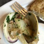 clam