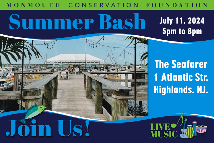 Summer Bash