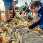seining
