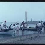 whleboats