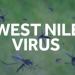 west-nile-virus-mosquito-1629919568