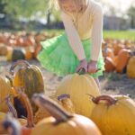 pumpkins-2878159_1280