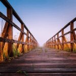 tommy_rau-bridge-7014079_640