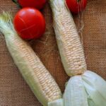 catceeq-vegetables-5545166_640